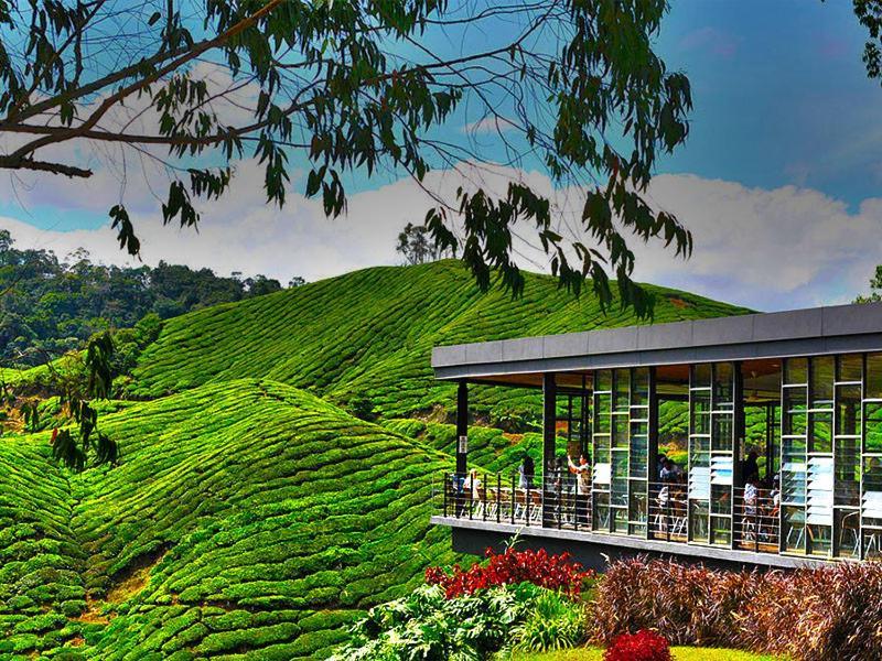 Aufa At Emerald Avenue Apartment